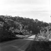 Road through Jungle