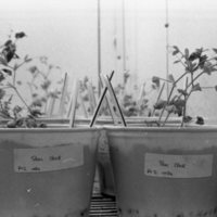1979 Agriculture, Range Study 14