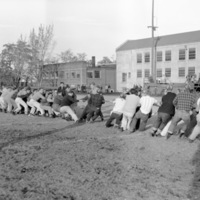 1949-50 Homecoming Tug-of-War