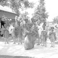 Cove, Cherry Fair Entertainment 3