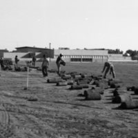 1981 Football Field, New Grass 01