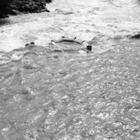 1983 Raft Race, Unmanned Raft 04