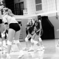 1988 Volleyball Action 04