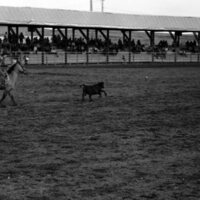 1984 Rodeo Club, Roping 07