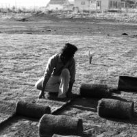 1981 Football Field, New Grass 09