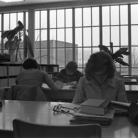 1976 Pierce Library Usage 1
