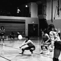 1981 Volleyball Action 04