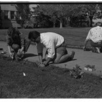 1989 Employees, Planting 23