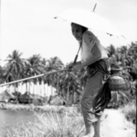 Binmaley Local Fishing 3