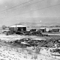 1980 Log Plant 13