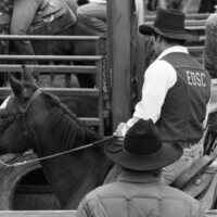 1986 Springfest, Rodeo Cowboys 19
