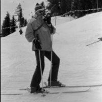 1991 Skier 2