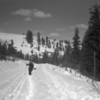 EOCE, Winter Hike 2