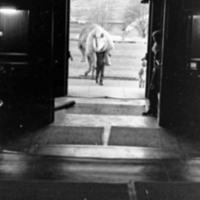 1977 Sculpture, Rhino 06