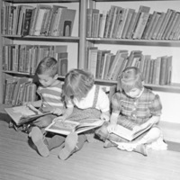 50's Ackerman Elementary Library 3-1