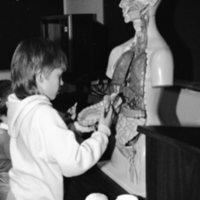 1987 Children, Biology Mannequin 01