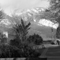 1987 Campus, Planting Beds 01
