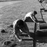 1981 Football Field, New Grass 11