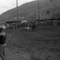 1984 Rodeo Club, Roping Pairs 03