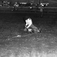80's Rodeo, Roping 6
