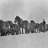 Elgin, Snow Plowing 1