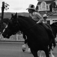 1981 Eastern Oregon Livestock Parade, Horses &amp; Riders 25