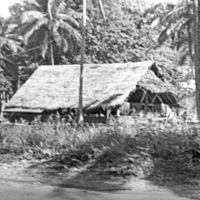 Dobodura Camp 4