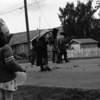1981 Eastern Oregon Livestock Parade, Blue Mountain Boys 07