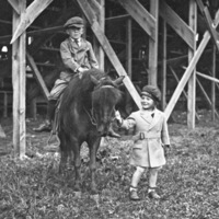 Reuter, Bob - Child 35