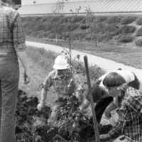 1981 Campus Tree Plantings 17