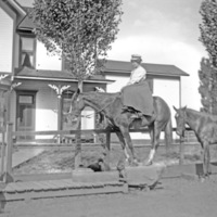 GRV, Woman on Horse 2
