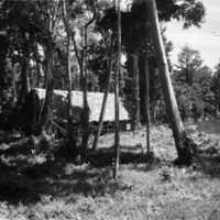 Dobodura Hut Sleeping Quarters 4