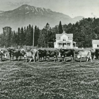 Wallowa County, Riverview Dairy