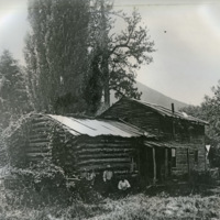 Wallowa Home, Meek