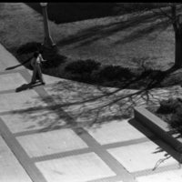 1976 Students, Walking