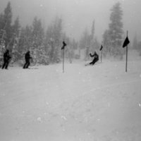 1981 Skiing, Men's Competition 27