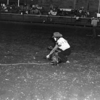 80's Rodeo, Roping 7