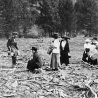 Reuter Group-D, Picnic 4