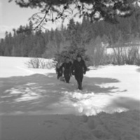 EOCE, Winter Hike 3