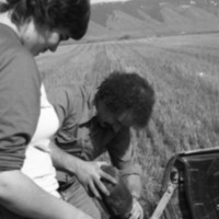 1980 Agriculture Study 06
