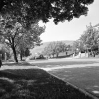 1978 Campus in Spring 09