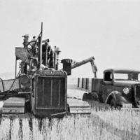 Alicel, Farming 5