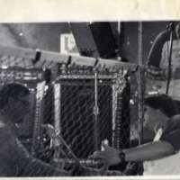 1983 Festival, Set-up