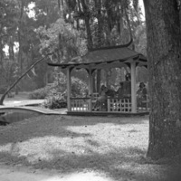 St. Augustine 24
