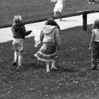 1985 Spring Festival, Kite Flying 20