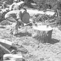 Elgin, American Legion Wood 2