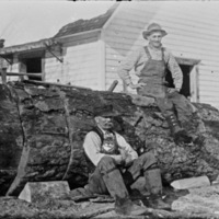 Oregon, Loggers