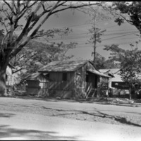 Mindoro, Sugar Plantation 7