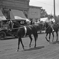 Union Stock Show Parade 6