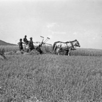 Farming 1